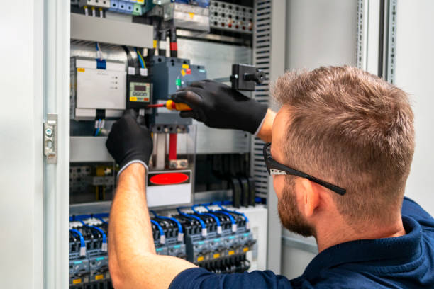 Best Electric Panel Repair  in Grandy, NC